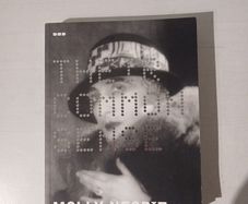 Their Common Sense by Molly Nesbit