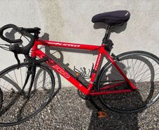 4 Bikes - 2 Mens, 1 Ladies, 1 Kids. Raleigh, Carrera, Reebok & Apollo