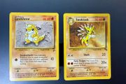 Pokemon - Sandshrew &amp; Sandslash