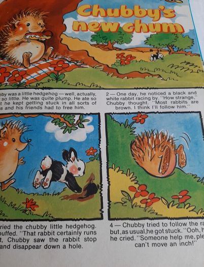 vintage Bimbo annual 1984