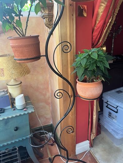 Plant Holder