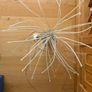 IKEA Medusa Stranne Table Lamp Image 2