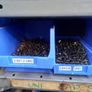 Nuts-bolts-brass-stainless Image 6