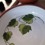 Stunning New Portugese Hand Painted Ivy Pottery Oven to Table Ware 5 Pieces Image 6