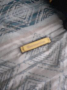 harmonica