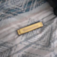 harmonica