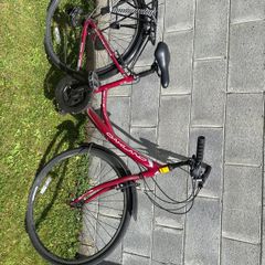 ladies bike
