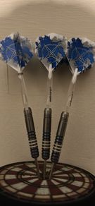 23g Garry Anderson Darts