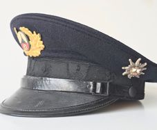 WW2 German DRKB visor hat for mountain troop veteran