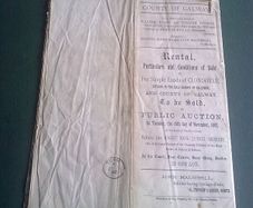Rental particulars and conditions of sale of fee simple lands of Clondoyle County Galway 1882
