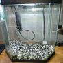 fish tank with filter and accessories Image 2