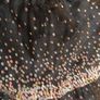 Leigh Tucker sequin dress 7-8 Image 2
