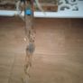 Wand Image 3