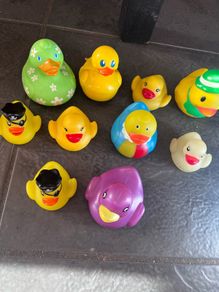 Ducks