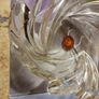 Crystal bowl Image 5