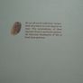 Living our Times, Marie Murray, Hardback book, Non fiction Image 6
