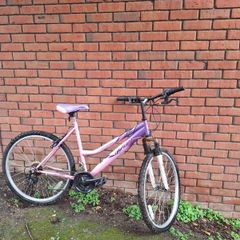 ladies bike