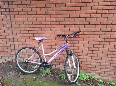 ladies bike