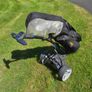 Wilson Reflex Golf Set + Powakaddy Bag & Electric Image 5