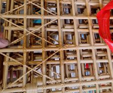 WWE Punjabi Prison Cage