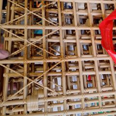 WWE Punjabi Prison Cage