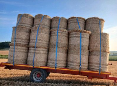 Winter barley straw