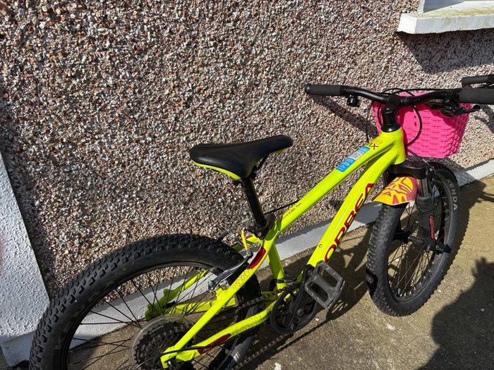 Orbea mountain bike
