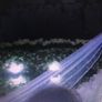 Cathedral Length Veil With Crystal Edge Image 3
