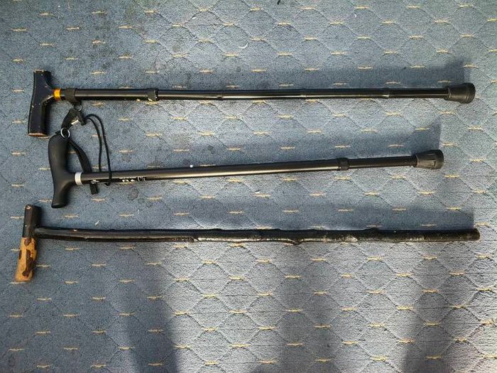 walking  stick