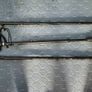 walking  stick Image 2