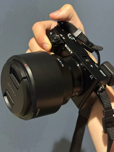 SONY Alpha A6100 Digital Mirrorless Camera with 3 lenses