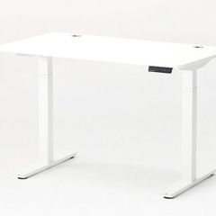 Autonomous SmartDesk  Electric Standing Desk