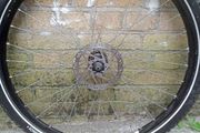 bike whe