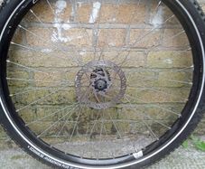 bike whe