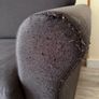 sofa Image 3