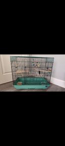 bird cage