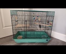 bird cage