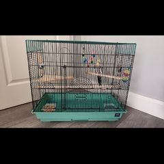 bird cage