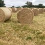 2026/25 hay for sale Image 8