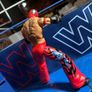 WWE Elite Royal Rumble Rey Mysterio Image 2
