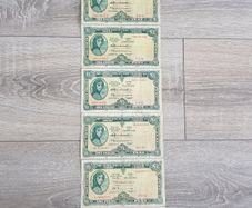 Lady Lavery One Pound Notes