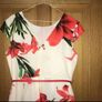 Wedding Guest, Races, Occassion Dress Size 12 Image 6