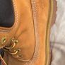 timberland Image 2