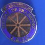 EHVC 30th FESTIVAL OF TRANSPORT (Eastbourne Historical Vehicles Club) 30th anniversary commemorative enamel badge (2006) Image 5