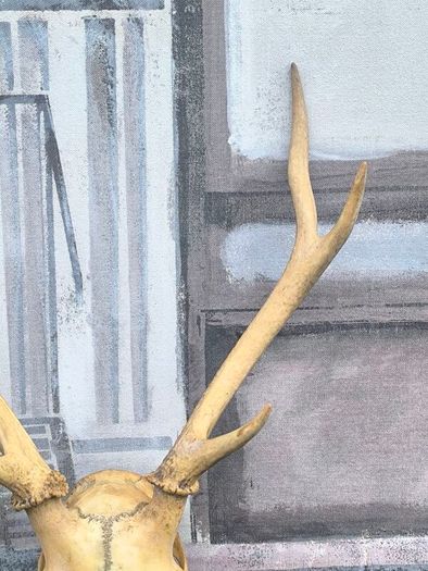 Vintage Red Deer Skull