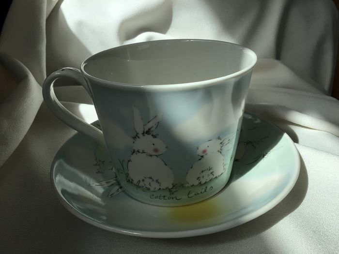 New Aynsley Breakfast Mug and Saucer in Rabbits Pet Collection