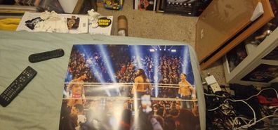 WWE CM Punk John Cena Roman Reigns Poster