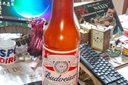 Very Large Budweiser Tips Plastic Bottle or Saving Bottle, Ideal for Home, Pubs or Restaurants., Postage Available or Collection