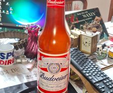Very Large Budweiser Tips Plastic Bottle or Saving Bottle, Ideal for Home, Pubs or Restaurants., Postage Available or Collection