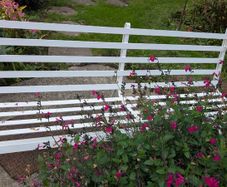 White metal garden bench